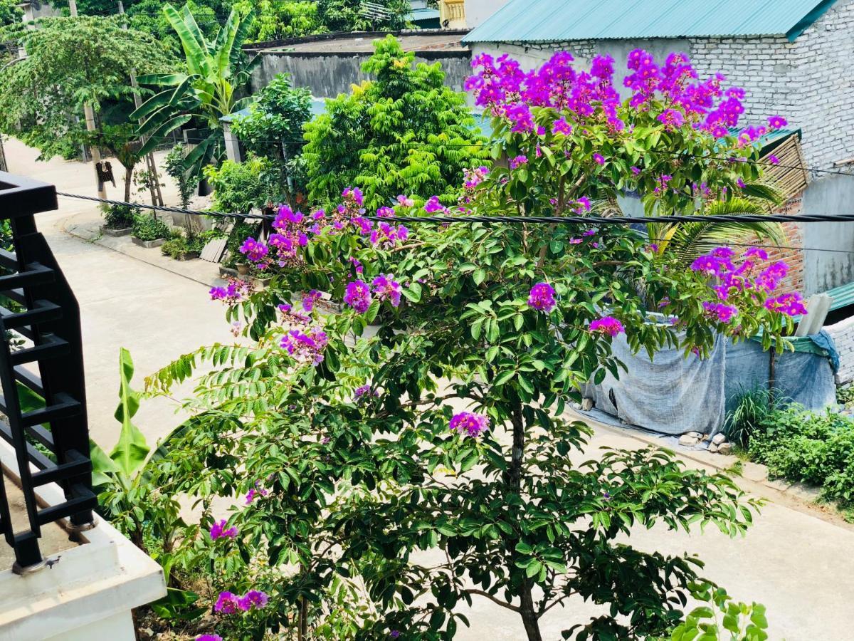 Ninh Binh Brother'S Homestay Esterno foto