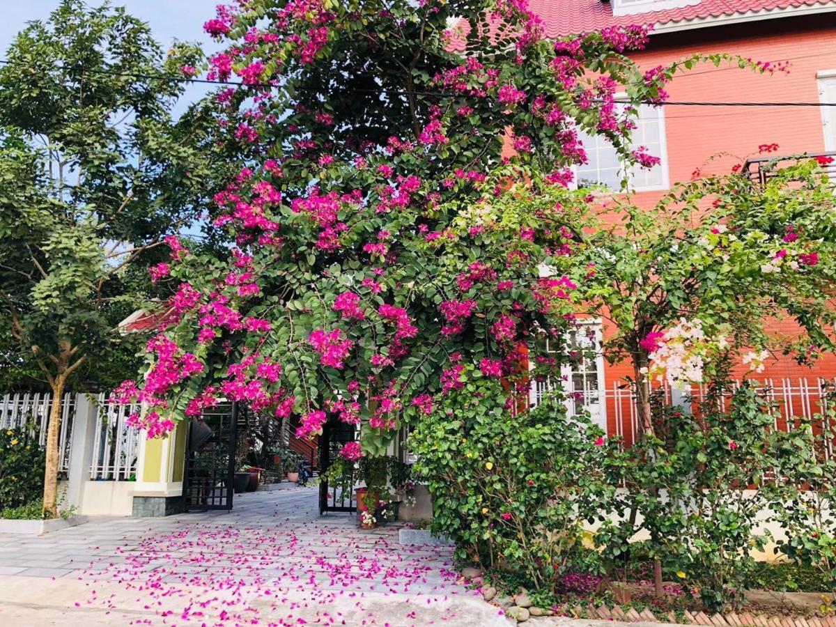 Ninh Binh Brother'S Homestay Esterno foto