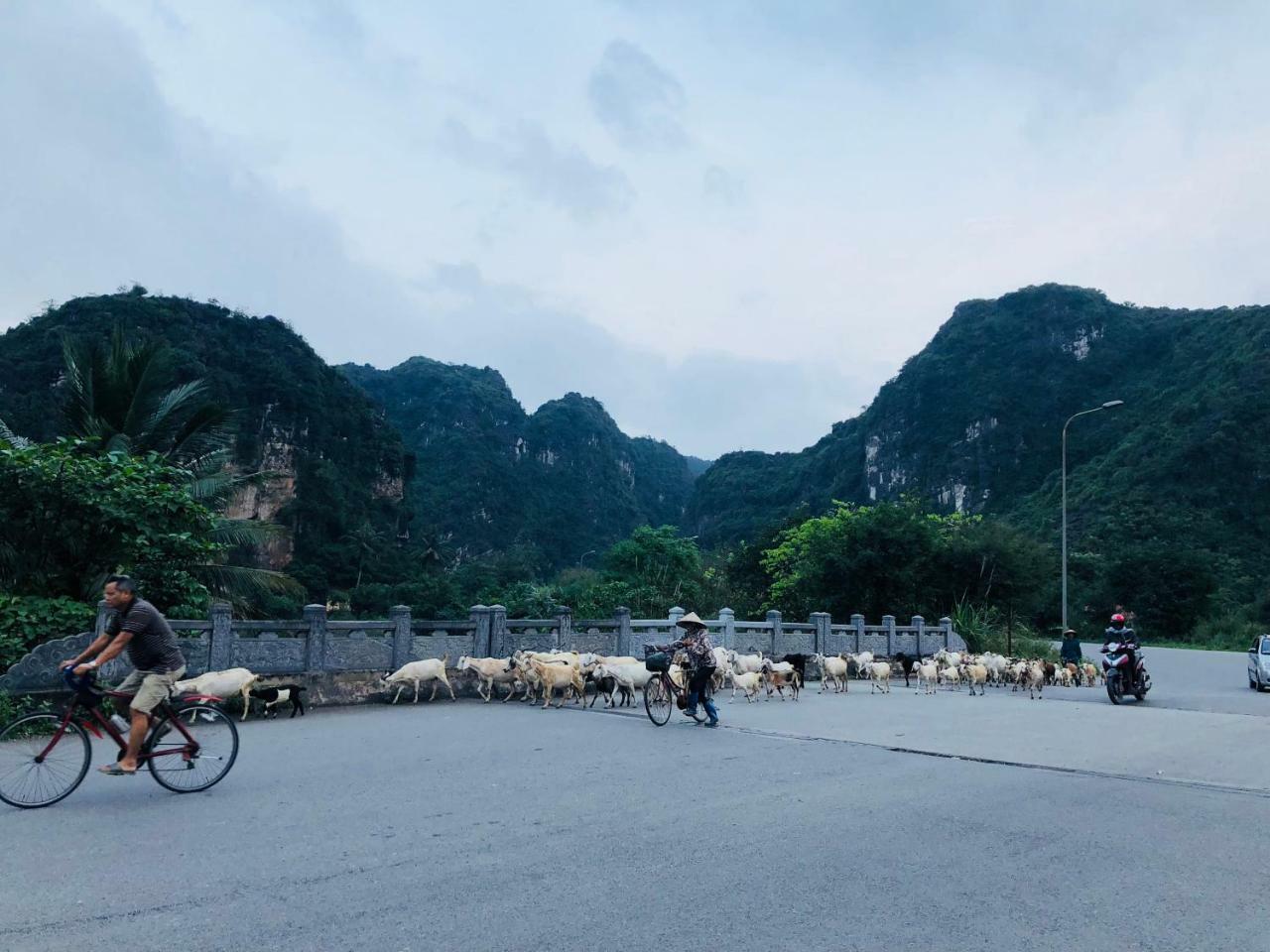 Ninh Binh Brother'S Homestay Esterno foto
