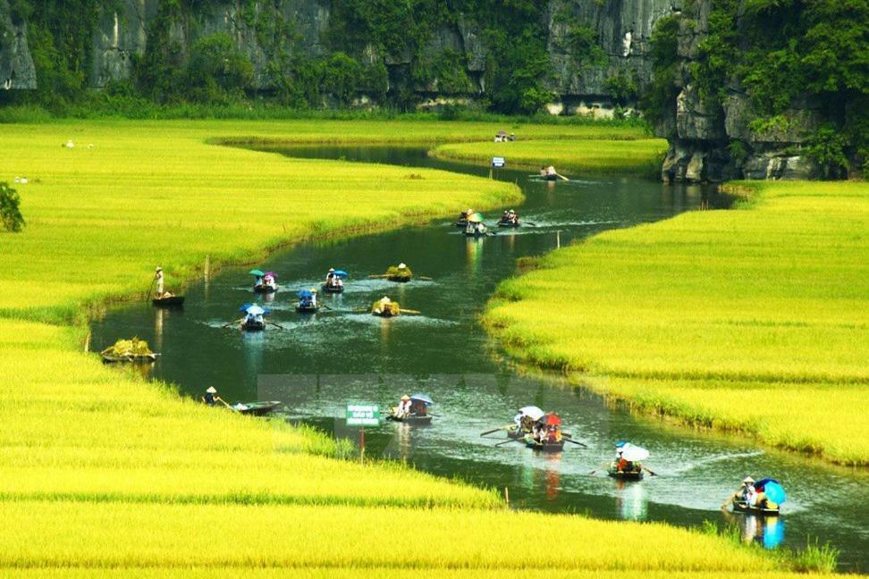 Ninh Binh Brother'S Homestay Esterno foto